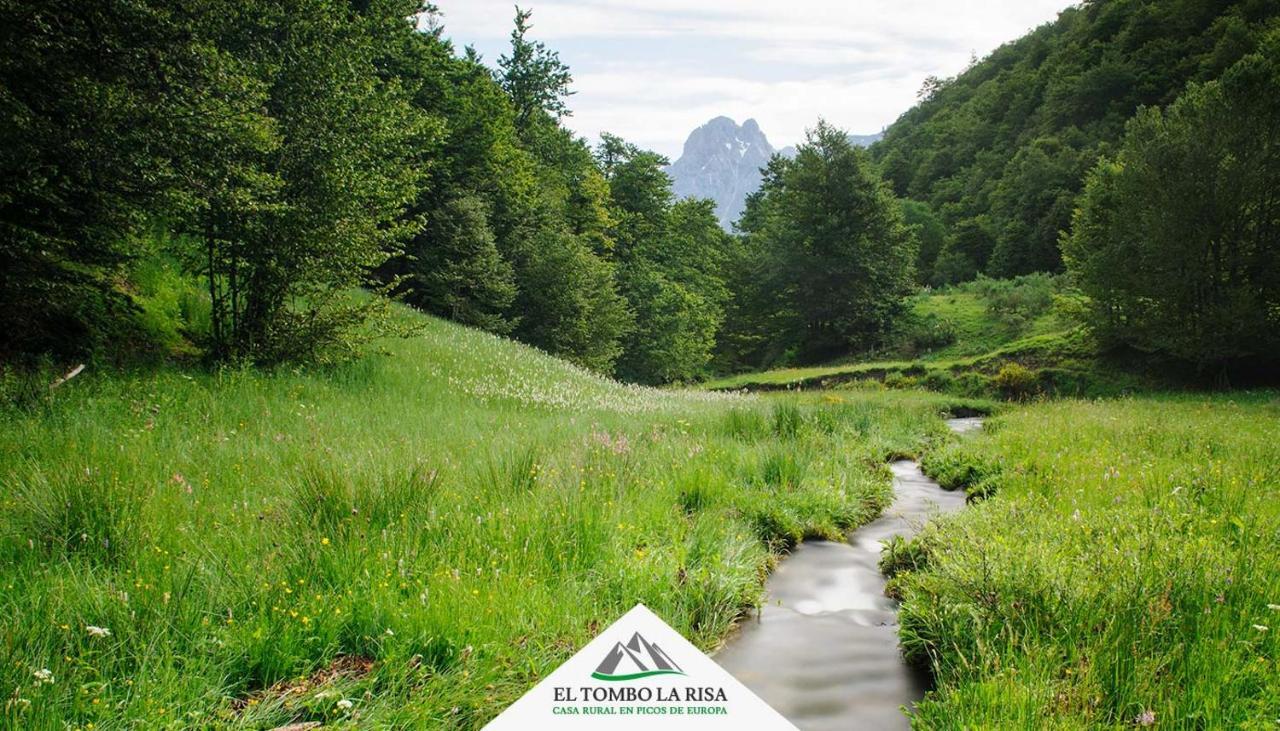 Casa Rural El Tombo La Risa Santa Maria de Valdeon Екстериор снимка